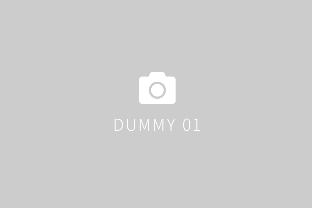 DUMMY 01